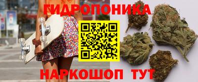 кокс Обь